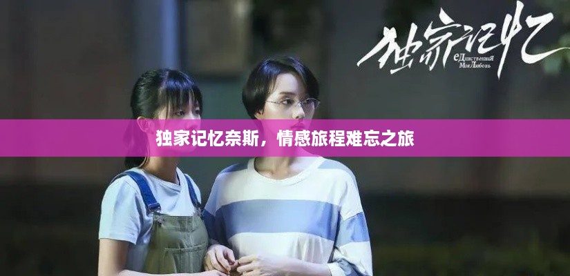 独家记忆奈斯，情感旅程难忘之旅