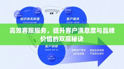 高效客服服务，提升客户满意度与品牌价值的双赢秘诀