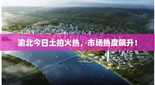 正版内容 第10页