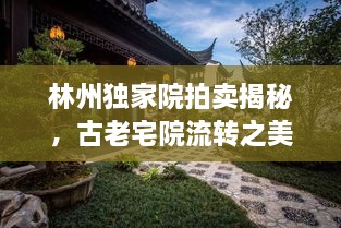 林州独家院拍卖揭秘，古老宅院流转之美，吸引你的目光！