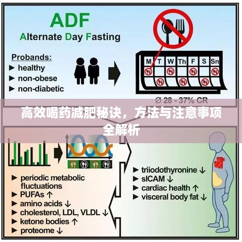 高效喝药减肥秘诀，方法与注意事项全解析