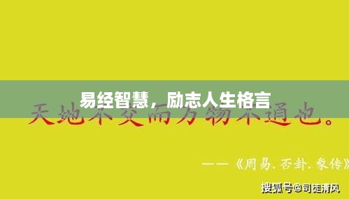 嗅APP 第7页