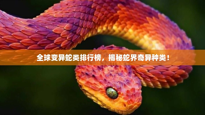 2025年4月 第14页