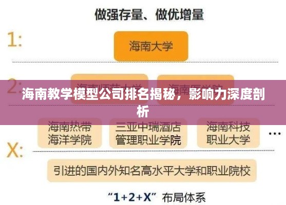 海南教学模型公司排名揭秘，影响力深度剖析