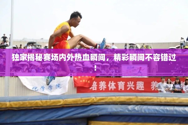 关于我们 第7页