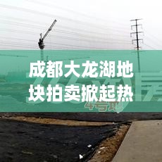 成都大龙湖地块拍卖掀起热潮，最新消息揭秘！