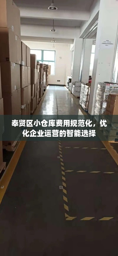 奉贤区小仓库费用规范化，优化企业运营的智能选择