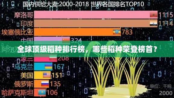 全球顶级稻种排行榜，哪些稻种荣登榜首？