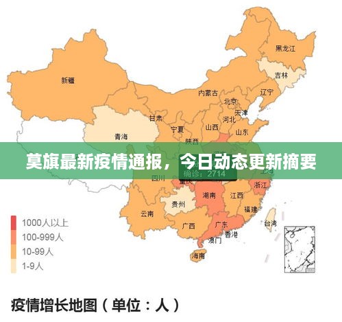 莫旗最新疫情通报，今日动态更新摘要