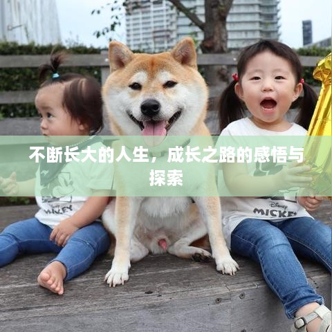 不断长大的人生，成长之路的感悟与探索