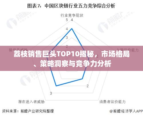 荔枝销售巨头TOP10揭秘，市场格局、策略洞察与竞争力分析