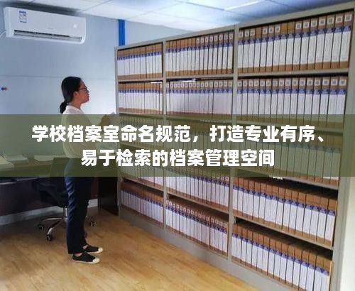 学校档案室命名规范，打造专业有序、易于检索的档案管理空间