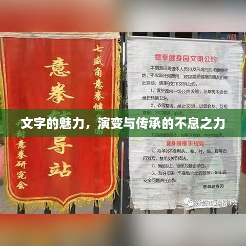 关于我们 第6页