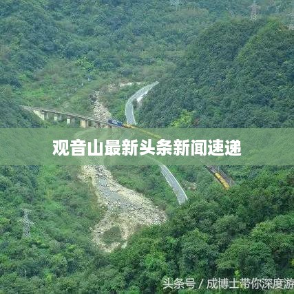 观音山最新头条新闻速递