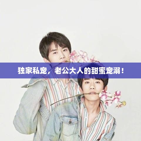 独家私宠，老公大人的甜蜜宠溺！
