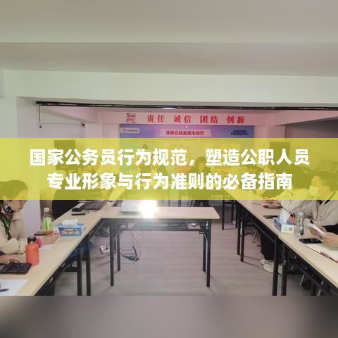 国家公务员行为规范，塑造公职人员专业形象与行为准则的必备指南