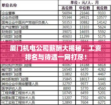 厦门机电公司薪酬大揭秘，工资排名与待遇一网打尽！