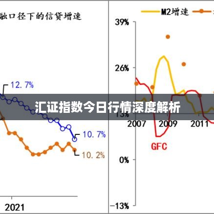 汇证指数今日行情深度解析