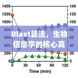 Blast算法，生物信息学的核心高效工具，快速精准解决生物信息问题