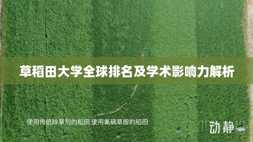 志同道合 第7页