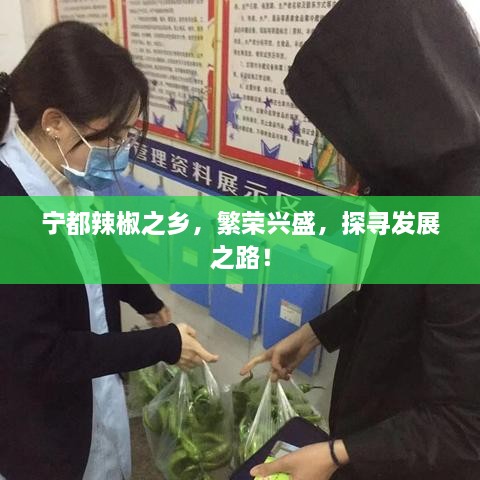 正版内容 第5页