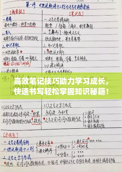 高效笔记技巧助力学习成长，快速书写轻松掌握知识秘籍！