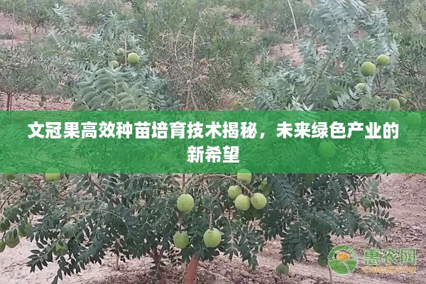 正版内容 第2页