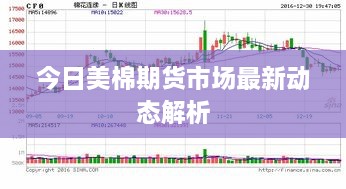 今日美棉期货市场最新动态解析
