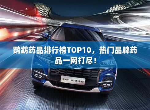 鹦鹉药品排行榜TOP10，热门品牌药品一网打尽！