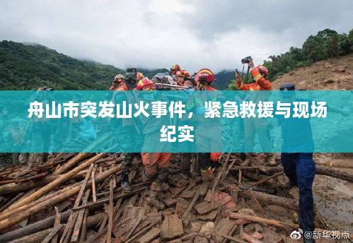 舟山市突发山火事件，紧急救援与现场纪实