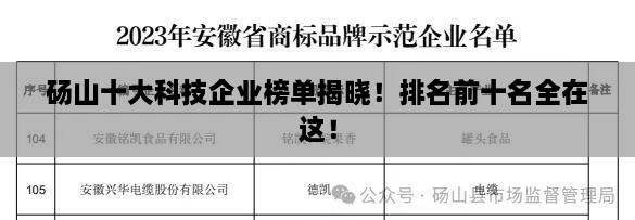 砀山十大科技企业榜单揭晓！排名前十名全在这！