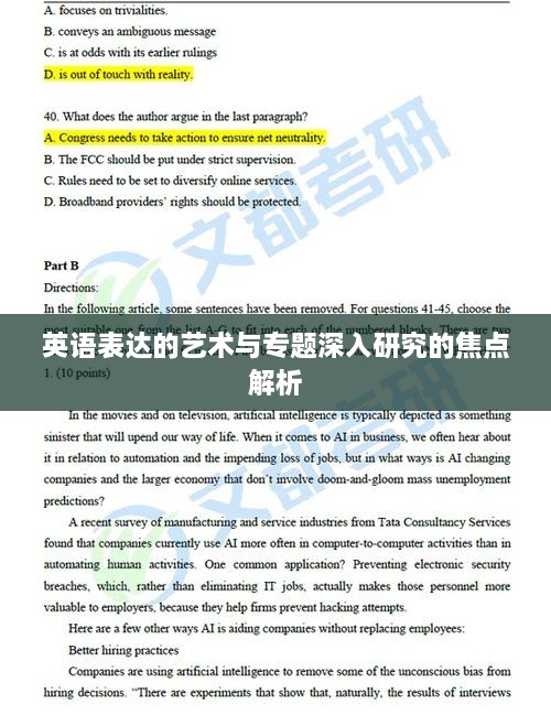 英语表达的艺术与专题深入研究的焦点解析