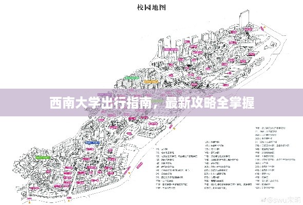 西南大学出行指南，最新攻略全掌握
