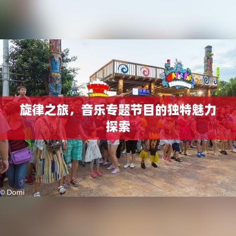 旋律之旅，音乐专题节目的独特魅力探索
