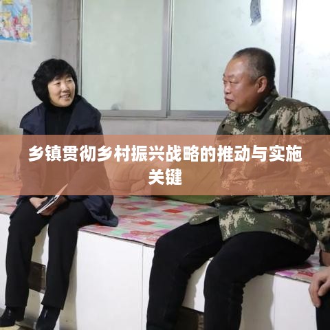 乡镇贯彻乡村振兴战略的推动与实施关键