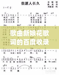 歌曲新娘花歌词的百度收录之旅，探寻美丽花语与浪漫旋律的融合
