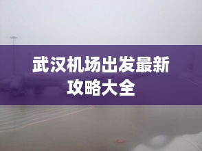 武汉机场出发最新攻略大全