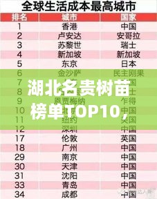 湖北名贵树苗榜单TOP10，探寻十大珍稀树苗的排名与魅力