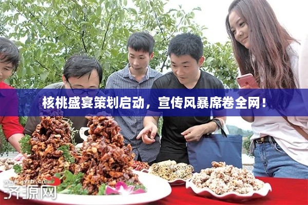 核桃盛宴策划启动，宣传风暴席卷全网！
