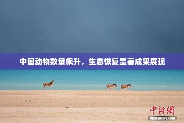 中国动物数量飙升，生态恢复显著成果展现