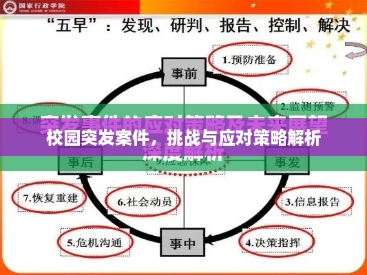 校园突发案件，挑战与应对策略解析