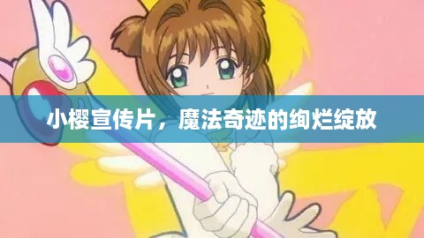 2025年5月16日 第3页