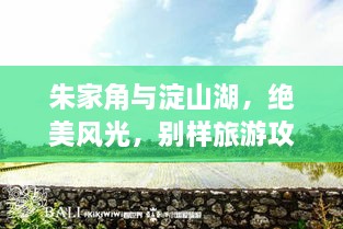 朱家角与淀山湖，绝美风光，别样旅游攻略体验