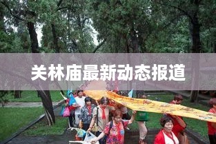关林庙最新动态报道