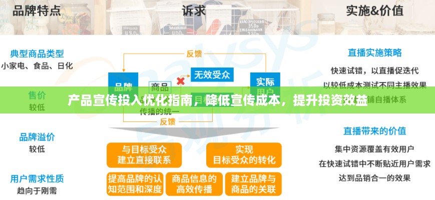 产品宣传投入优化指南，降低宣传成本，提升投资效益