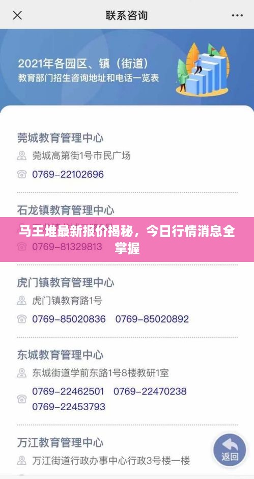 马王堆最新报价揭秘，今日行情消息全掌握
