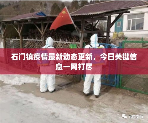 石门镇疫情最新动态更新，今日关键信息一网打尽