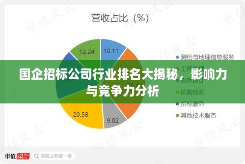 国企招标公司行业排名大揭秘，影响力与竞争力分析