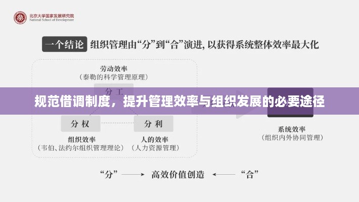 规范借调制度，提升管理效率与组织发展的必要途径