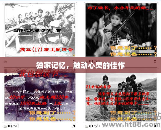 独家记忆，触动心灵的佳作